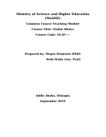 Global Affairs Module (final).doc